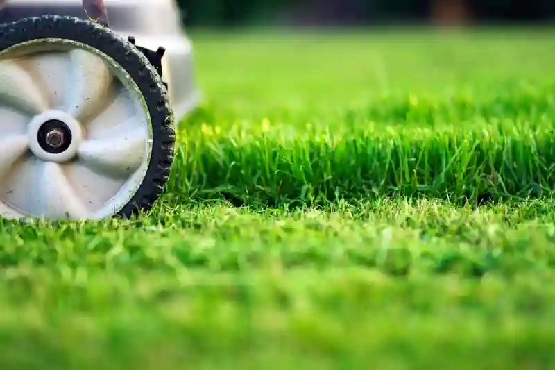 Can you mow wet grass in Hesperia, CA
