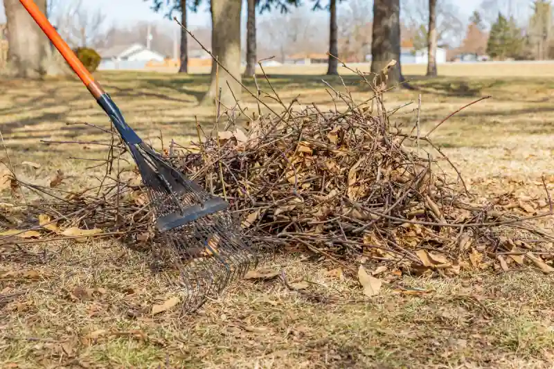 How to clear a yard full of weeds in Hesperia, CA 