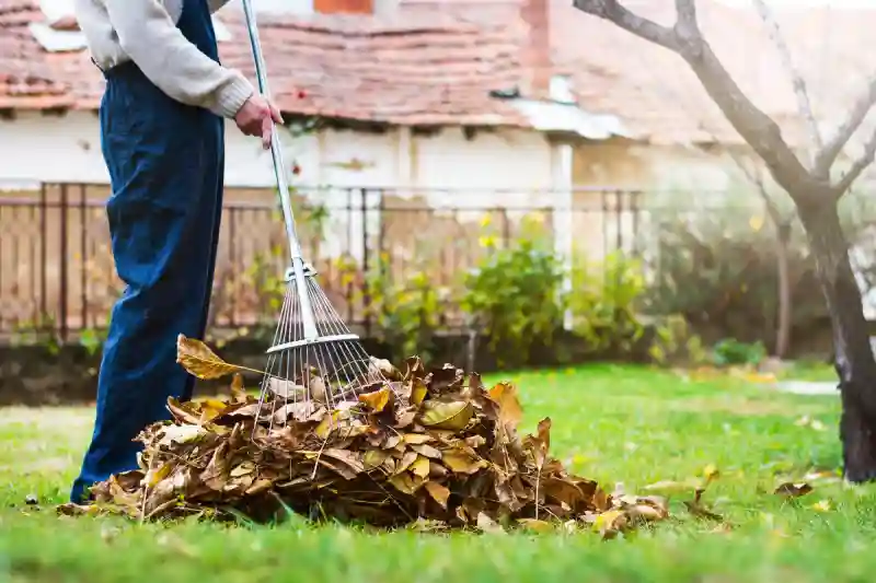 How to clear a yard full of weeds in Hesperia, CA 