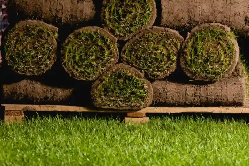 How to lay sod over existing lawn in Hesperia, CA 