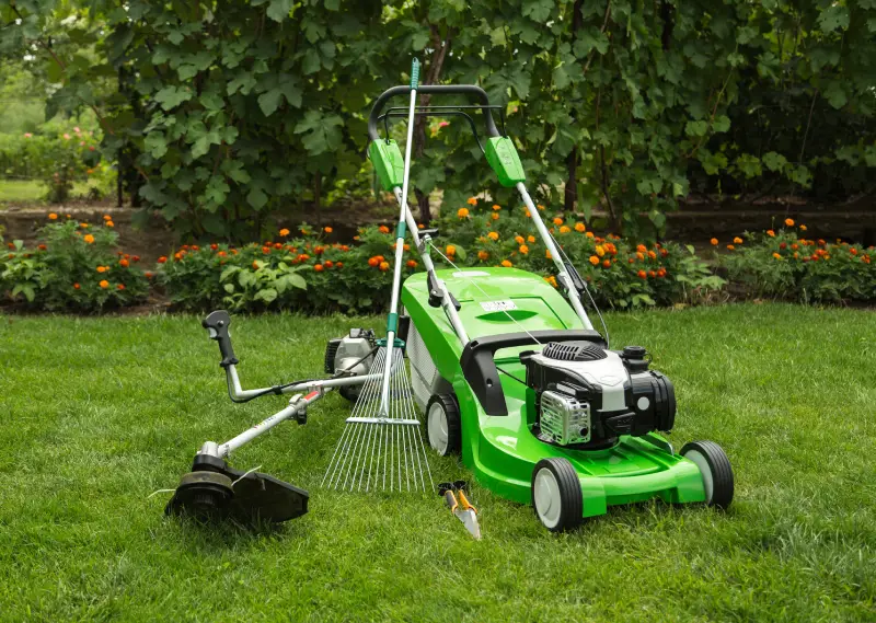 Professional landscaping company in Verdemont, CA