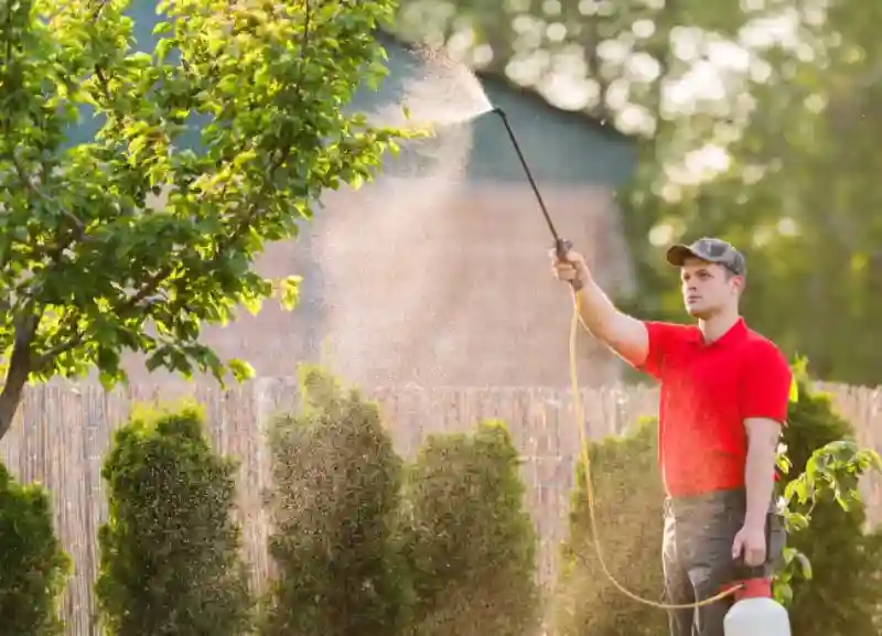 Professional Lawn Fertilization Service in Hesperia, CA 