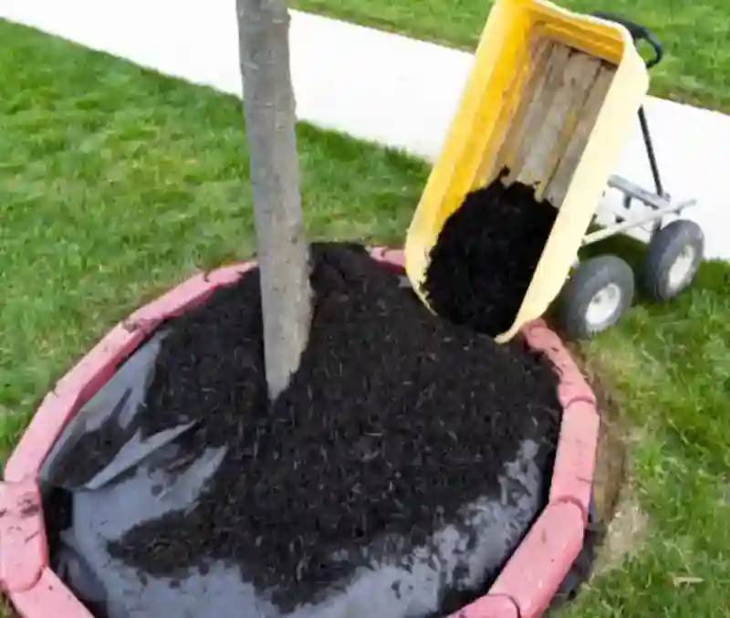 Outstanding Mulching Service in Hesperia, CA 