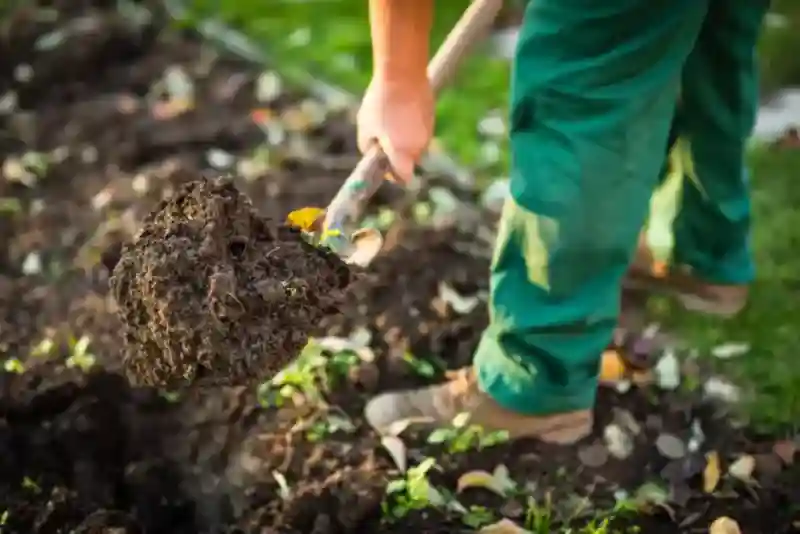 Reliable Mulching Service in Hesperia, CA 