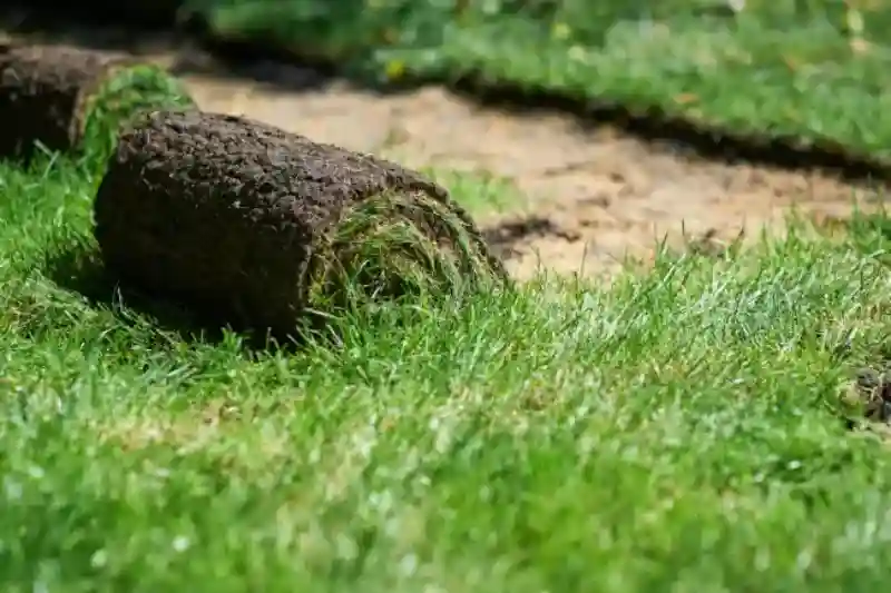 Reliable Sod Installation Service in Hesperia, CA 