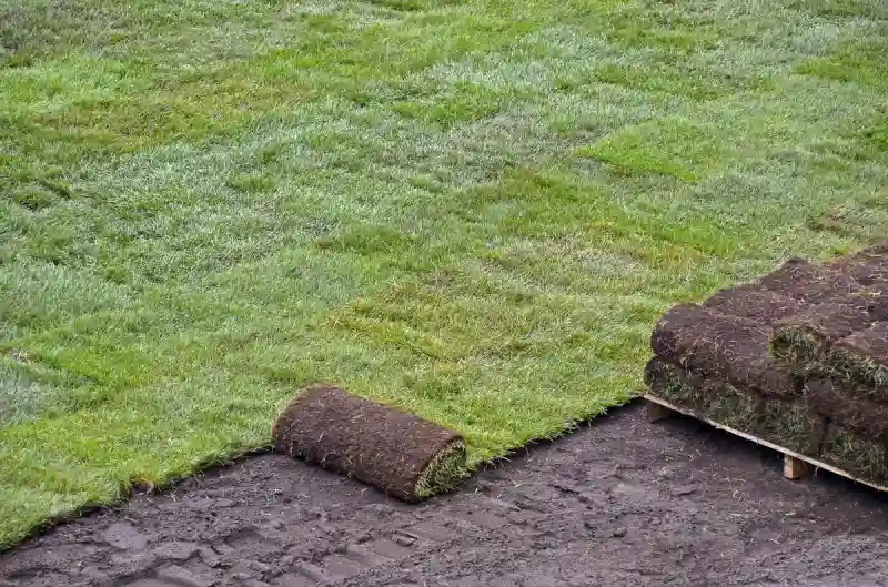 Outstanding Sod Installation Service in Hesperia, CA 