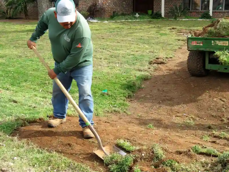 Professional Sod Installation Service in Hesperia, CA 