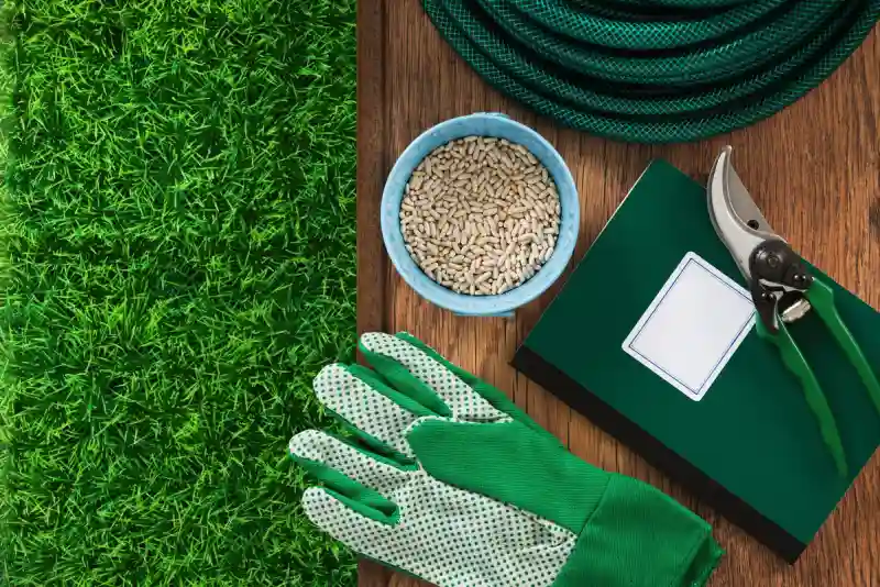 When is the best time to fertilize your lawn in Hesperia, CA 