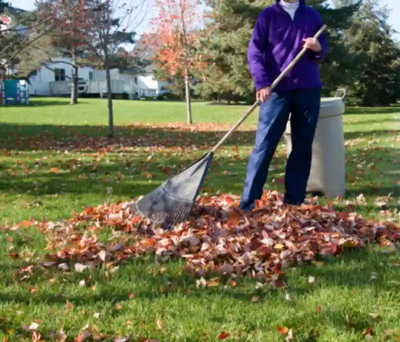 Professional Yard cleanup Service in Hesperia, CA 