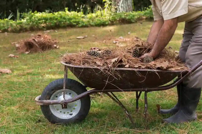 Reliable Yard cleanup Service in Hesperia, CA 